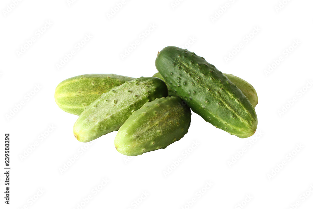 Fresh cucumbers isolated on white background Fresh cucumbers isolated on white background