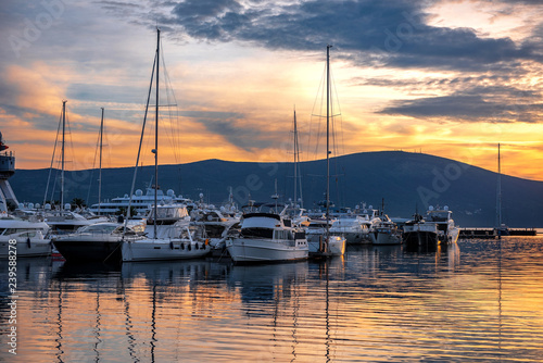 yachts in marina at sunset on the sea