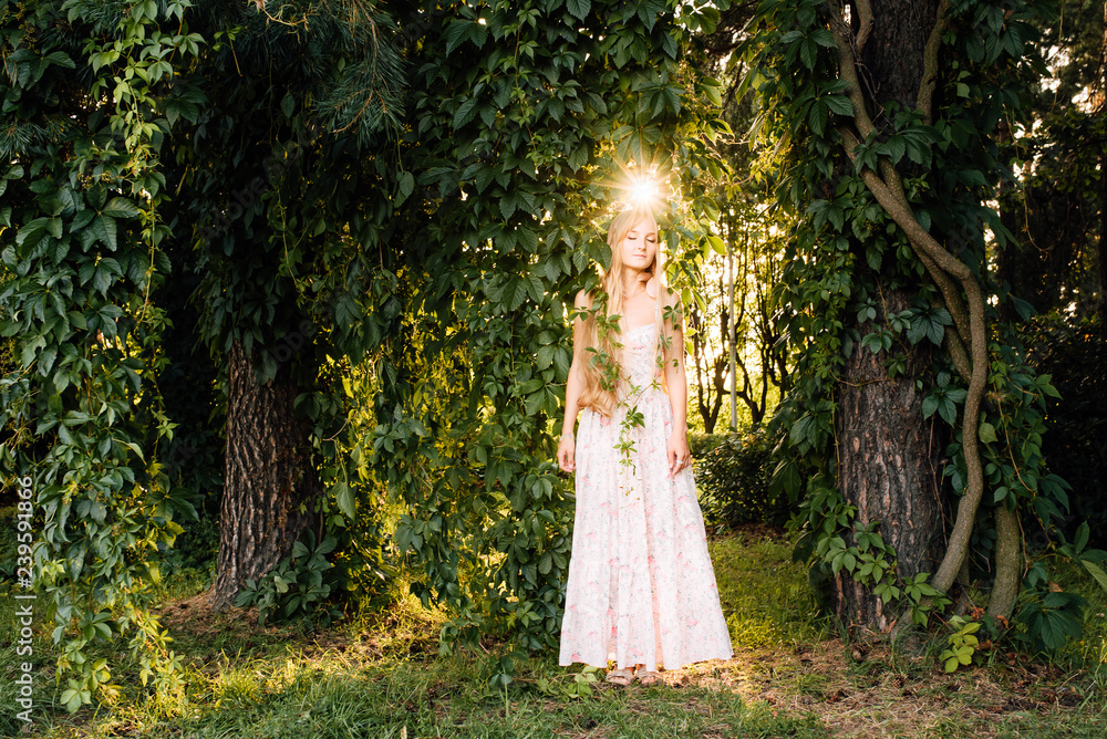 beautiful young girl in a white dress with long hair resting outdoors, amazing woman walking in the park beautiful young girl in a white dress with long hair resting outdoors, amazing woman walking in the park