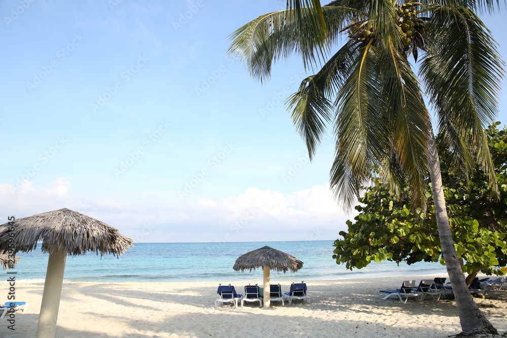  tropical beach with palm trees,  landscape and umbrellas on the white sandy beach and with space for text