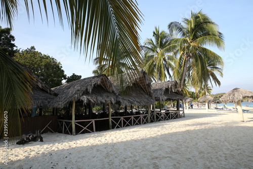 hut and palm tree on the tropical beach with white sand