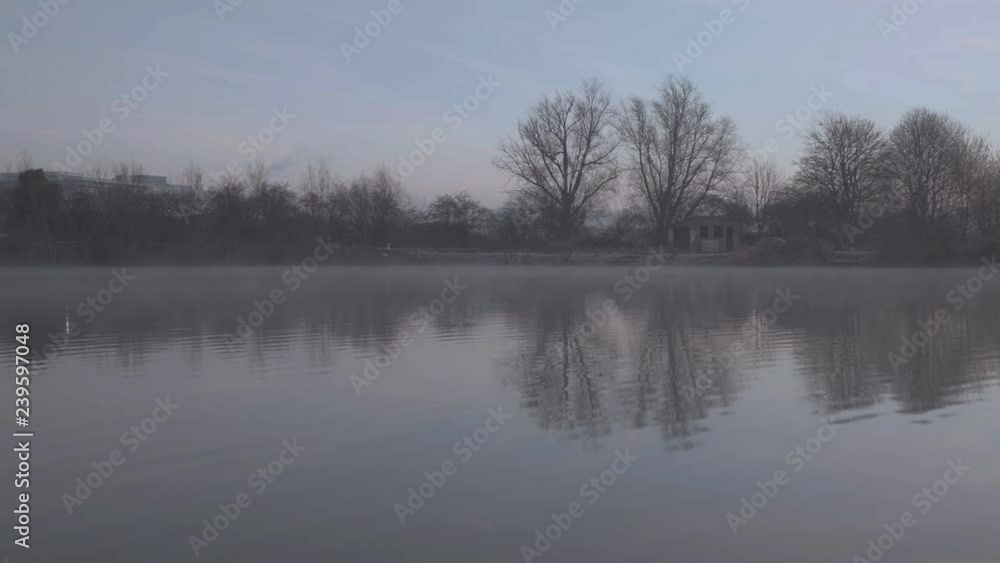 View of a beautiful misty pond and flying birds. Camera movement to the left. View of a beautiful misty pond and flying birds. Camera movement to the left.