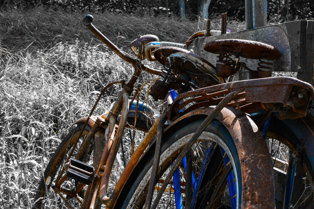 desaturated bike in the grass