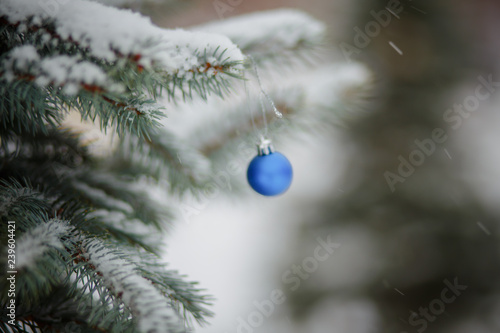 blue Christmas tree balls in colors of the flag of Ukraine. toy on snowy tree. Christmas background. first snowfall. branches in the snow. Strong blizzards, snowy weather.