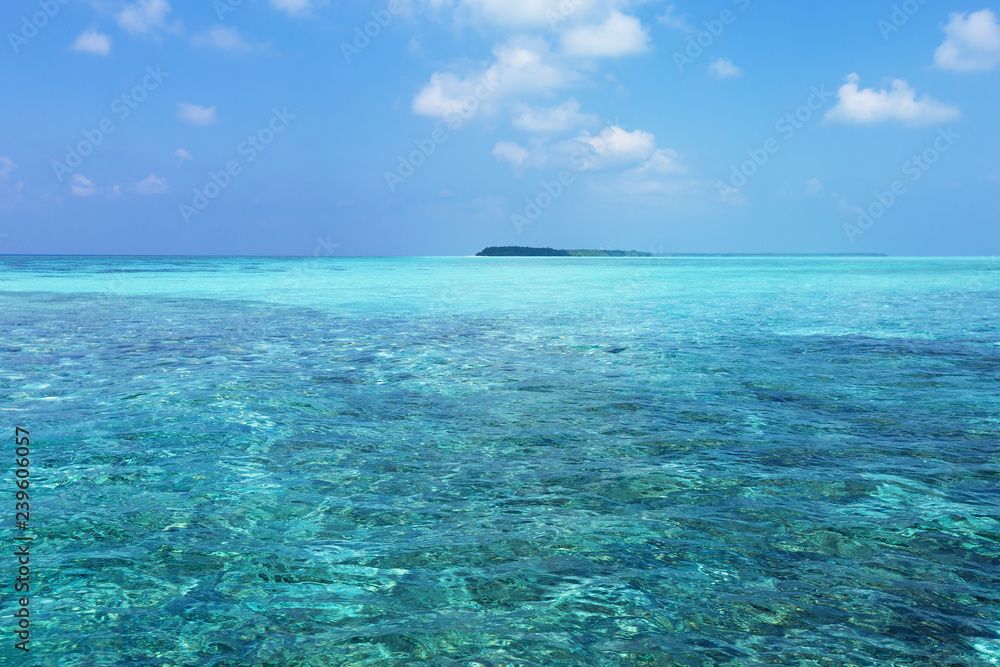Indian ocean with coral reefs