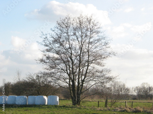 Dänemark und Ostern 2004