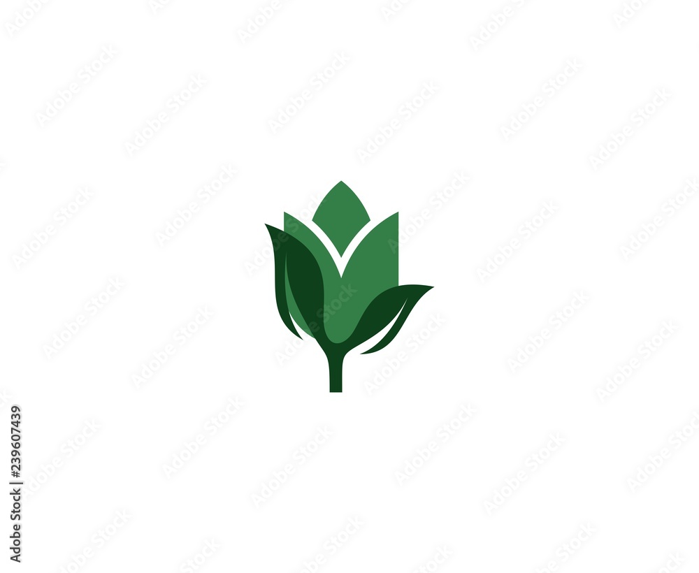 Fototapeta premium Flower logo
