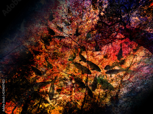 Background image of autumn leaves and carp
