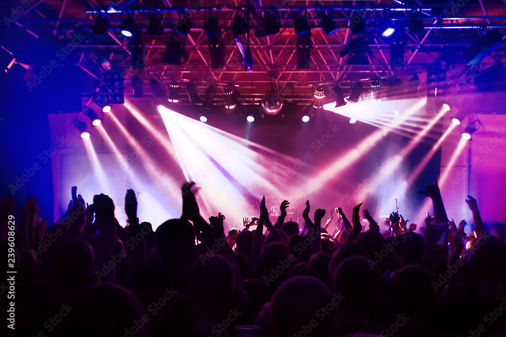 silhouettes of concert crowd at rock concert