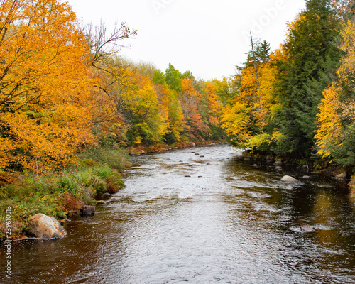 Fall foliage along the Sacandaga River in the Adirondacks.