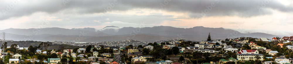 Residential area in Wellington, New Zealand