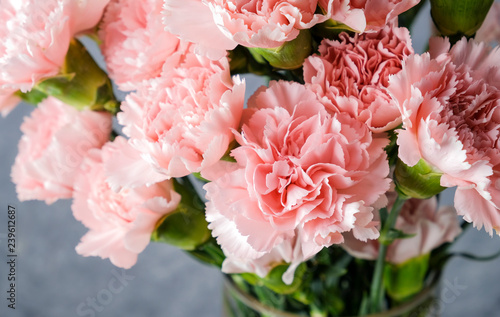 Pink carnation flowers in glass vase