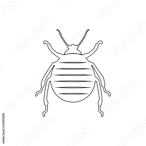 beetle icon. Element of insect for mobile concept and web apps icon. Thin line icon for website design and development, app development