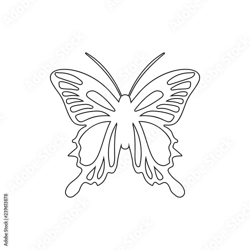 butterfly tail icon. Element of insect for mobile concept and web apps icon. Thin line icon for website design and development, app development © rashadaliyev