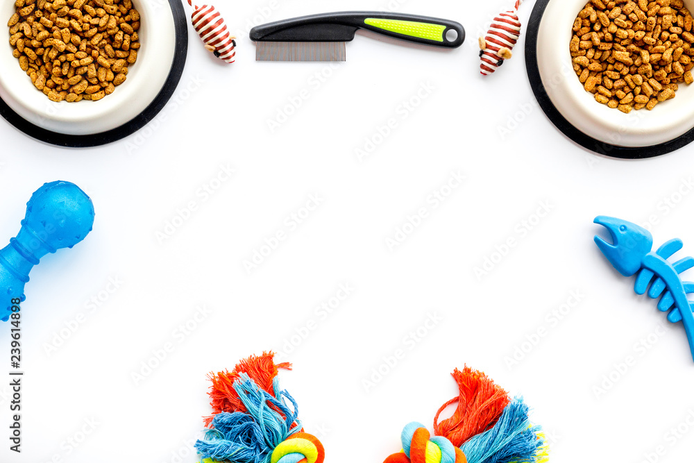 Grooming and training equipment for pets care, dry food white background top view copy space Grooming and training equipment for pets care, dry food white background top view copy space