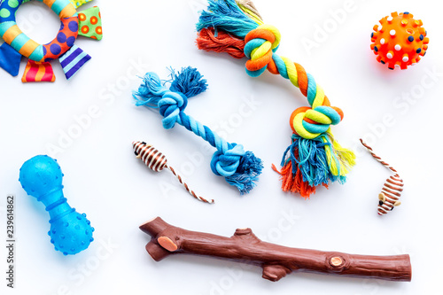Pet accessories for care and training. Toys on white background top view