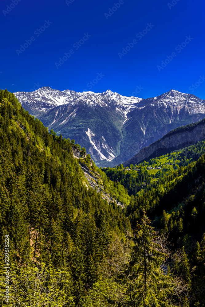 Alps mountains covered with pine forest, Leukerbad, Leuk, Visp,