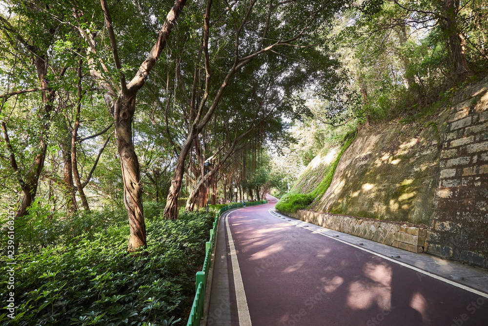 Obraz premium Footpath in a public park