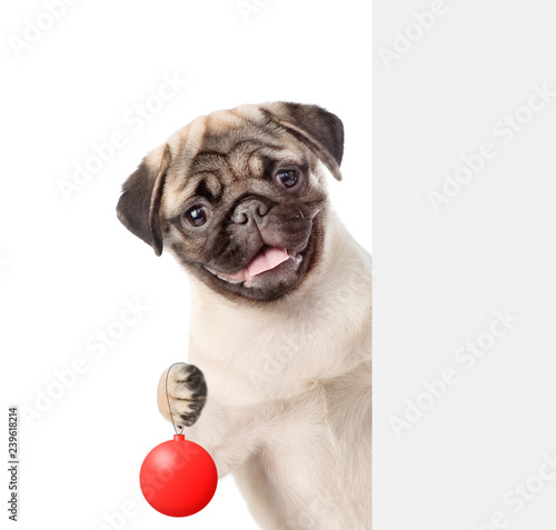 Happy puppy with Christmas tree toy. Isolated on white background © Ermolaev Alexandr