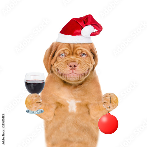Happy puppy in red santa hat  holding glass of red wine and christmas ball. isolated on white background © Ermolaev Alexandr