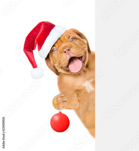 Smiling puppy in red christmas hat with Christmas tree toy. Isolated on white background © Ermolaev Alexandr