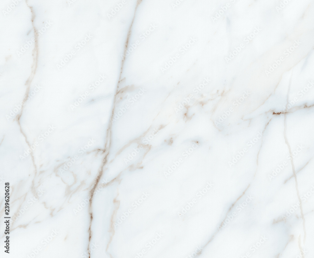 natural white marble slab closeup natural white marble slab closeup