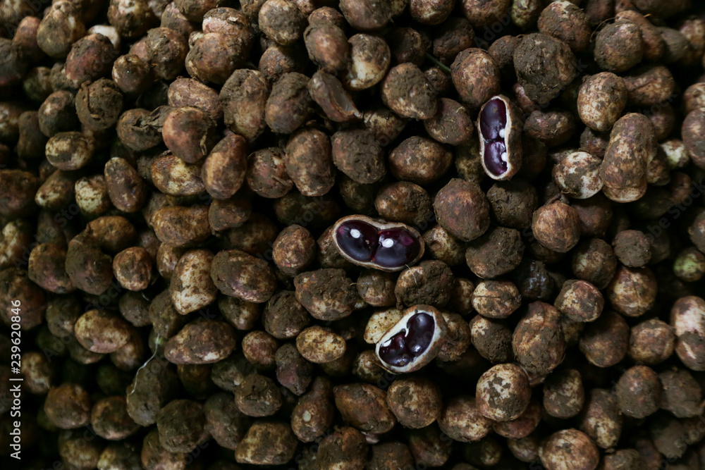 Obraz premium Red beans at a local farmers market