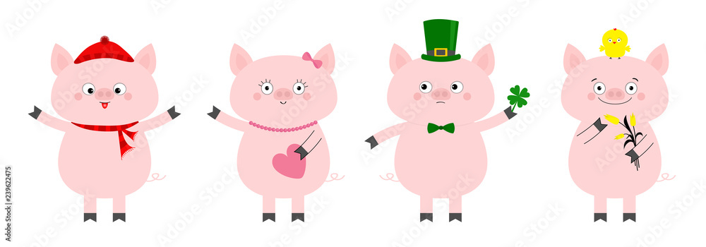 Pig piglet set. Winter hat, scarf, pink heart, Patrick clover, chicken, tulip. Cute funny cartoon animal character. Flat design White background. Isolated.