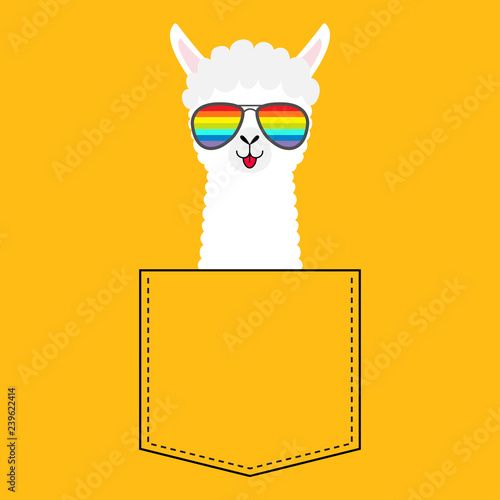 Alpaca llama face head in the pocket. Rainbow glasses. Cute cartoon animals. Kawaii character. Dash line. White and black color. T-shirt design. Baby yellow background. Flat design.