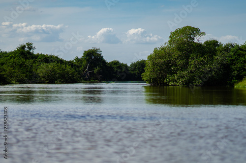 Manglar Tecolutla