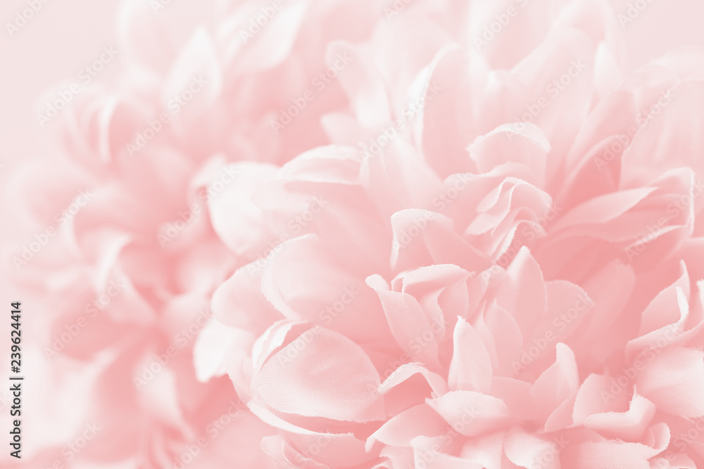 Beautiful flowers made with color filters in soft color and blur style for background