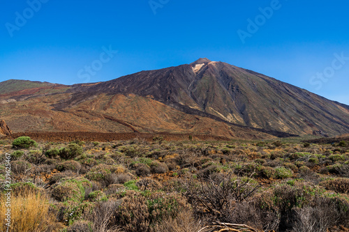 The lava fields of Las Canadas caldera and Teide volcano in the background. Tenerife. Canary Islands. Spain.