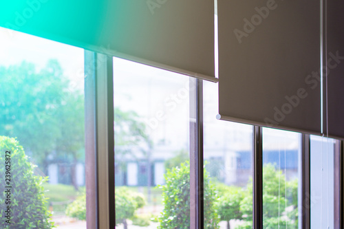 Blind window interior design with green garden  Green view beside window in office  Flare light through the window in the morning