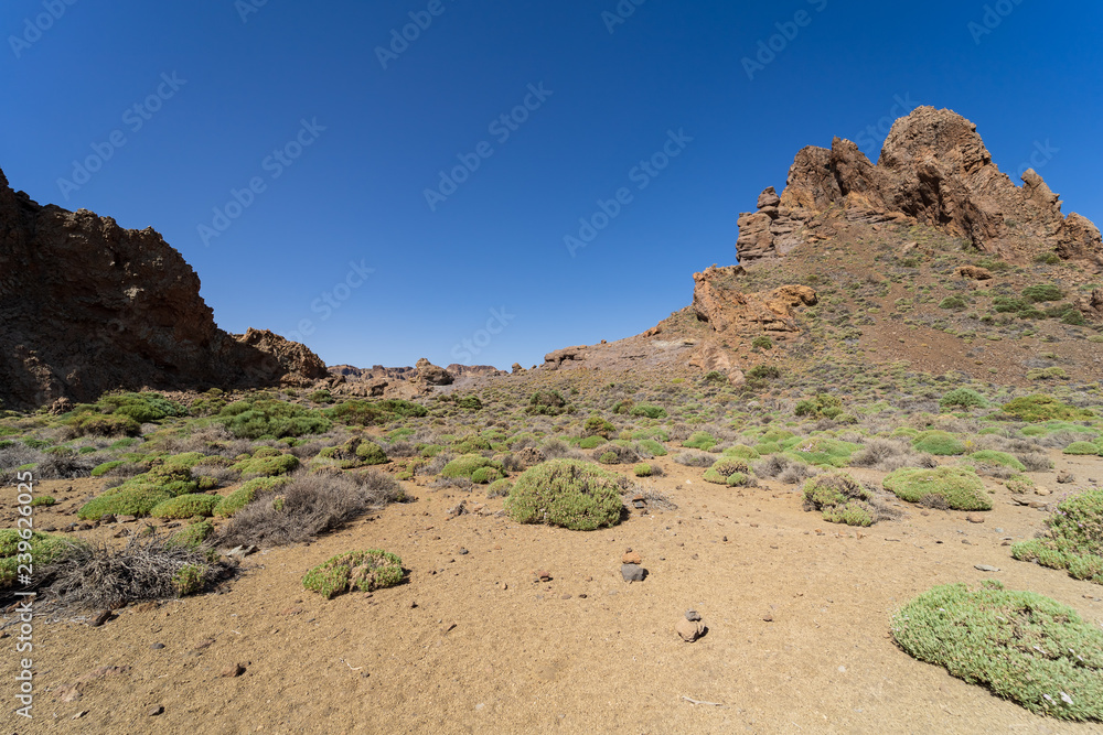 Fototapeta premium The lava fields of Las Canadas caldera of Teide volcano and rock formations - Roques de Garcia. Tenerife. Canary Islands. Spain.