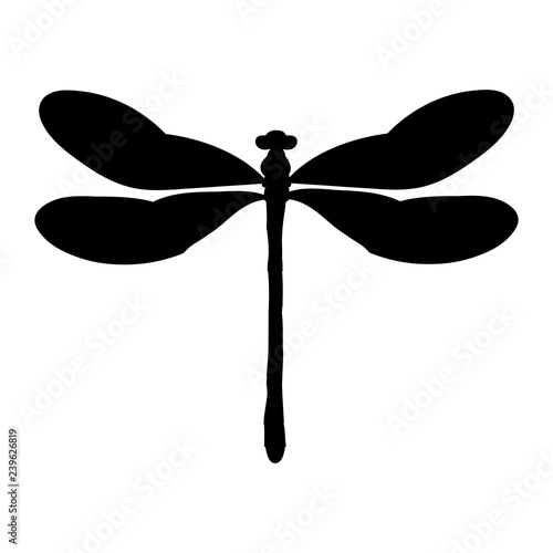 vector, isolated, dragonfly flies, insect, silhouette