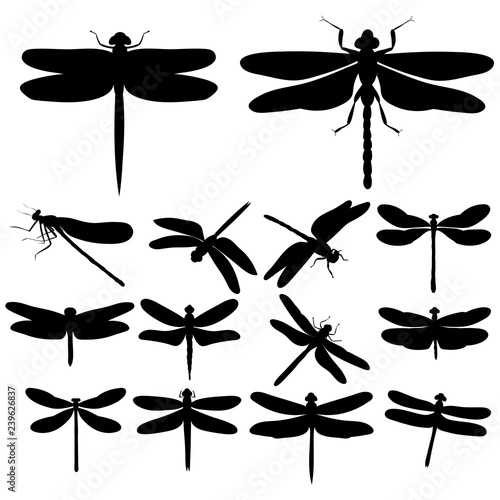 dragonfly silhouettes, insects, on white background