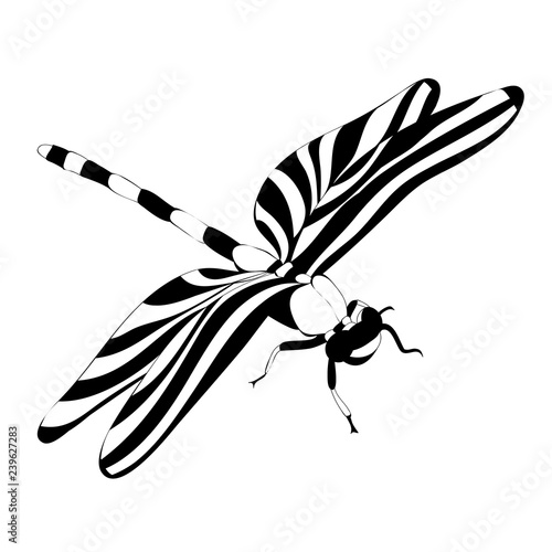 isolated black and white silhouette of a flying dragonfly