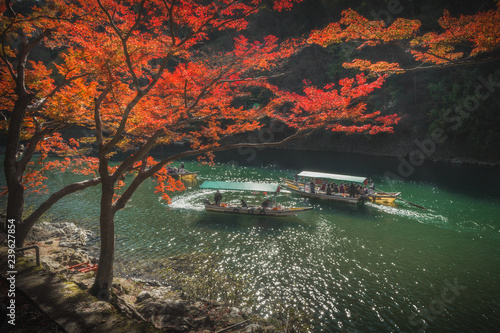 京都　-  嵐山　紅葉