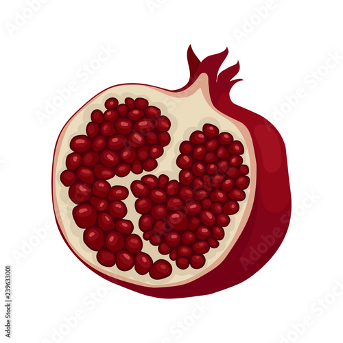 Half of ripe pomegranate. Fruit with sweet juicy seeds. Organic and tasty food. Healthy nutrition. Flat vector icon