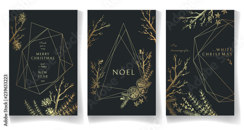 Set of golden winter cards, geometric trendy crystal design. Hand drawn sketchy graphics, branches, pine-tree, citrus, spices. Terrariums.