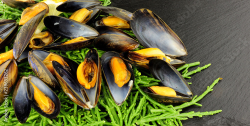 Quadro su tela Cooked mussels with samphire on a stone slate background