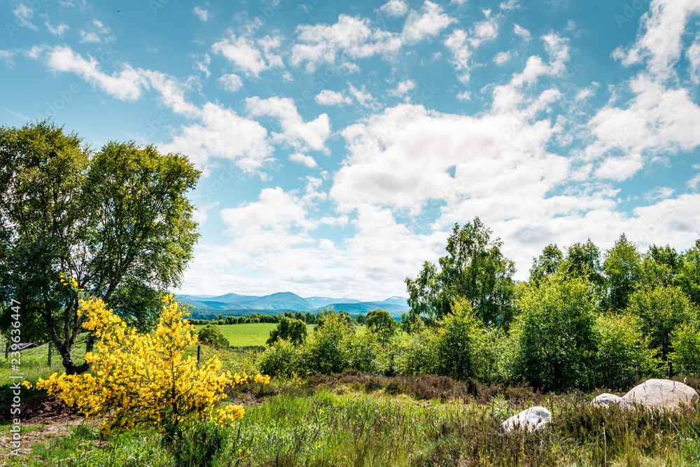 Speyside scottland highlands on a warm light cloudy summer day with beautiful view to the mountain range of great britains roughest country Speyside scottland highlands on a warm light cloudy summer day with beautiful view to the mountain range of great britains roughest country
