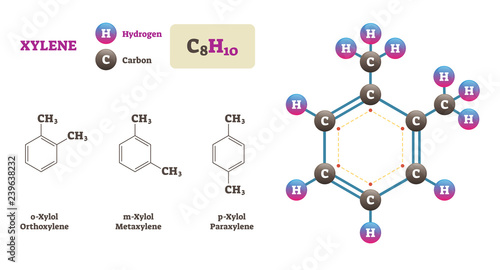 Xylene molecule vector illustration. Hydrogen and Carbon structure diagram.