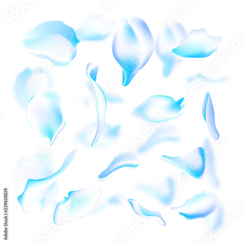 Vector set of blue falling rose and sakura petals. Blurred spring blossom petal set with decorative elements, stamen. Sakura petal set, blossom rose petals objects, petal element set with blured