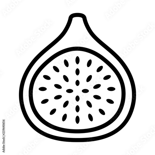 Common fig fruit cross section with seeds line art vector icon for food apps and websites