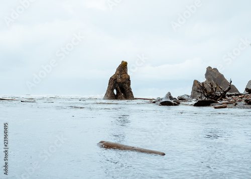 sea stack on the Washington coast