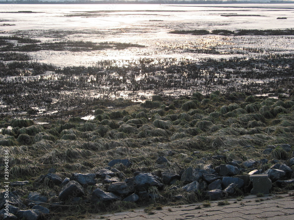 Fototapeta premium Winterhimmel