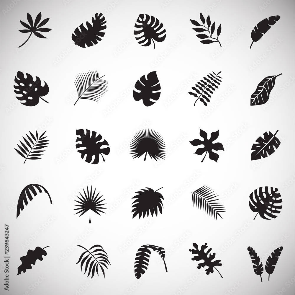 Tropic leafs icons set on white background for graphic and web design, Modern simple vector sign. Internet concept. Trendy symbol for website design web button or mobile app Tropic leafs icons set on white background for graphic and web design, Modern simple vector sign. Internet concept. Trendy symbol for website design web button or mobile app