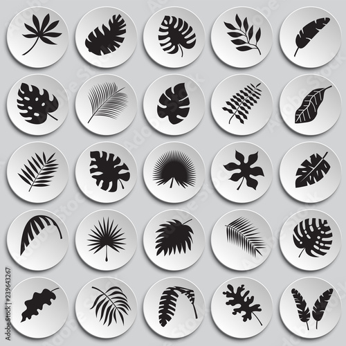 Tropic leafs icons set on plates background for graphic and web design, Modern simple vector sign. Internet concept. Trendy symbol for website design web button or mobile app