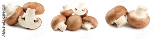 Fotografia Fresh champignon mushrooms isolated on white background